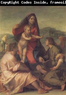 Andrea del Sarto The Madonna of the Stair (san05)